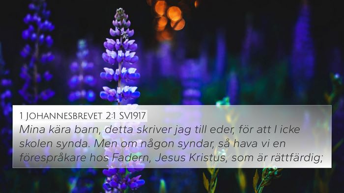 1 Johannesbrevet 2:1 SV1917 Bible Verse Image