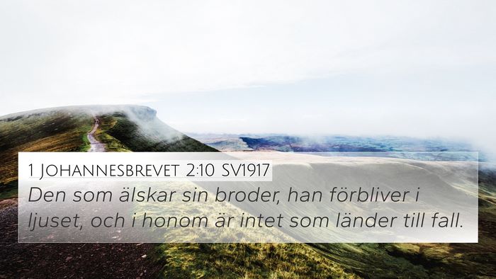 1 Johannesbrevet 2:10 SV1917 Bible Verse Image