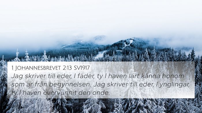 1 Johannesbrevet 2:13 SV1917 4K Wallpaper - Jag skriver till eder, I fäder, ty I haven lärt - 4K Wallpaper Bible Verse