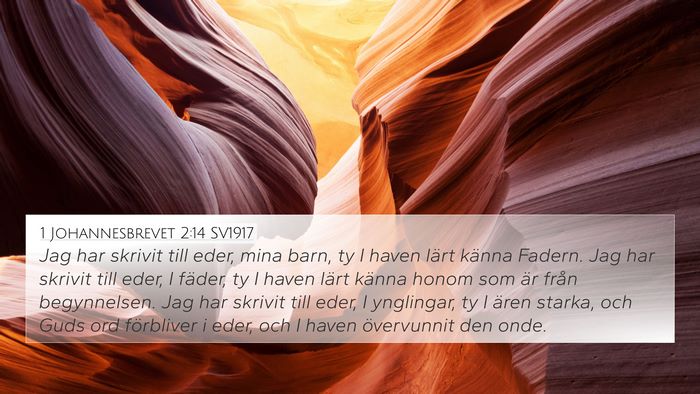 1 Johannesbrevet 2:14 SV1917 Bible Verse Image