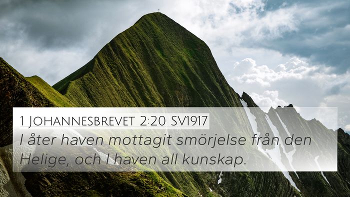 1 Johannesbrevet 2:20 SV1917 Bible Verse Image
