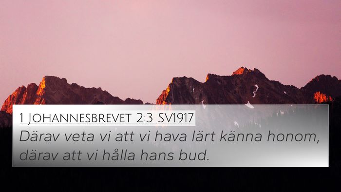 1 Johannesbrevet 2:3 SV1917 Bible Verse Image