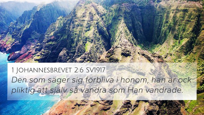 1 Johannesbrevet 2:6 SV1917 Bible Verse Image