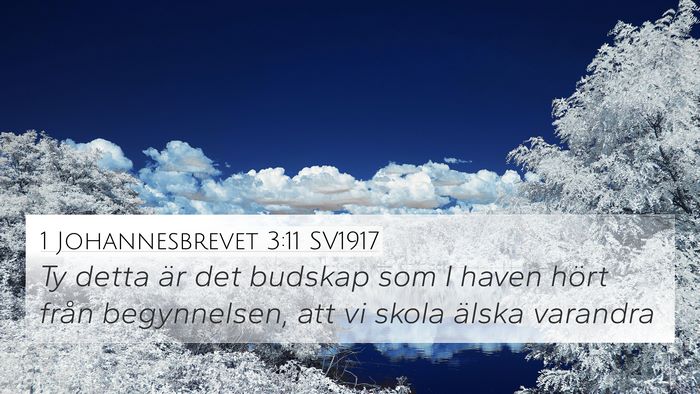 1 Johannesbrevet 3:11 SV1917 Bible Verse Image