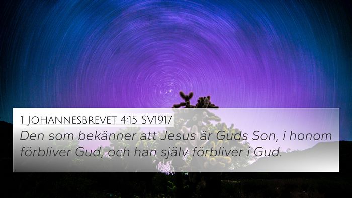 1 Johannesbrevet 4:15 SV1917 Bible Verse Image