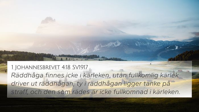 1 Johannesbrevet 4:18 SV1917 Bible Verse Image