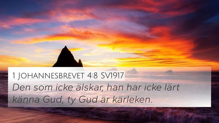 1 Johannesbrevet 4:8 SV1917 Bible Verse Image