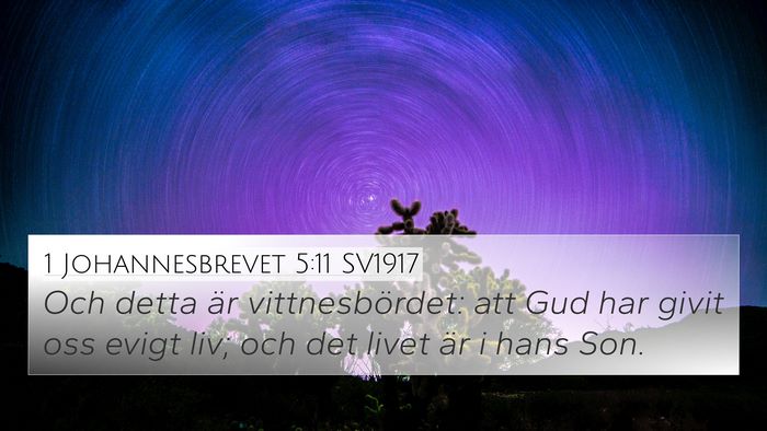 1 Johannesbrevet 5:11 SV1917 Bible Verse Image