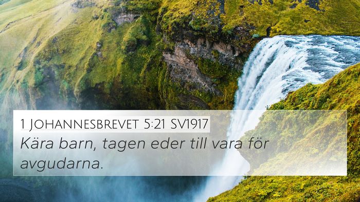 1 Johannesbrevet 5:21 SV1917 Bible Verse Image