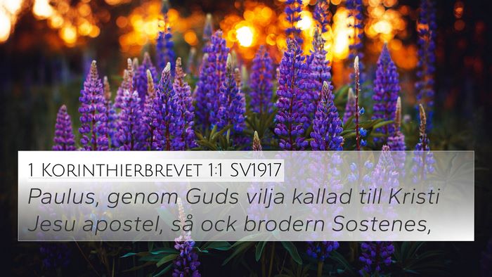 1 Korinthierbrevet 1:1 SV1917 Bible Verse Image