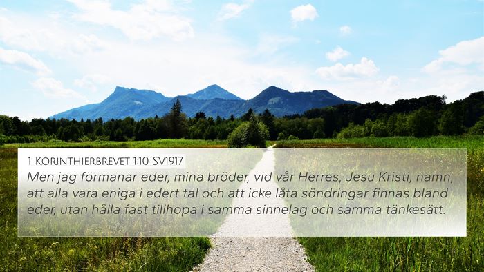 1 Korinthierbrevet 1:10 SV1917 Bible Verse Image
