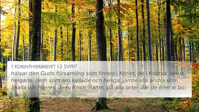 1 Korinthierbrevet 1:2 SV1917 Bible Verse Image
