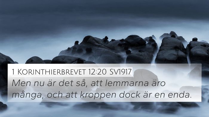 1 Korinthierbrevet 12:20 SV1917 Bible Verse Image