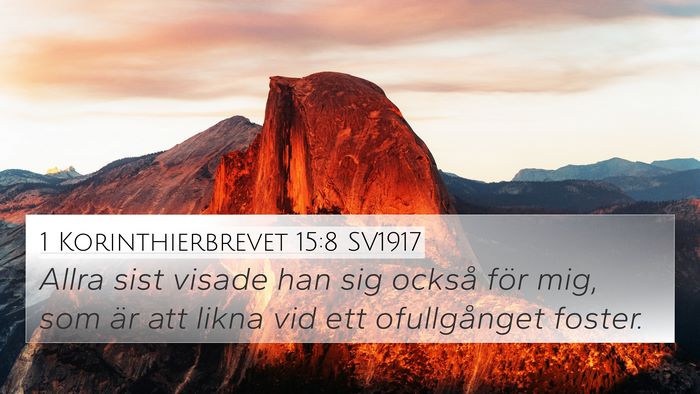 1 Korinthierbrevet 15:8 SV1917 Bible Verse Image