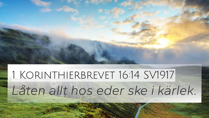 1 Korinthierbrevet 16:14 SV1917 Bible Verse Image