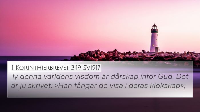 1 Korinthierbrevet 3:19 SV1917 Bible Verse Image