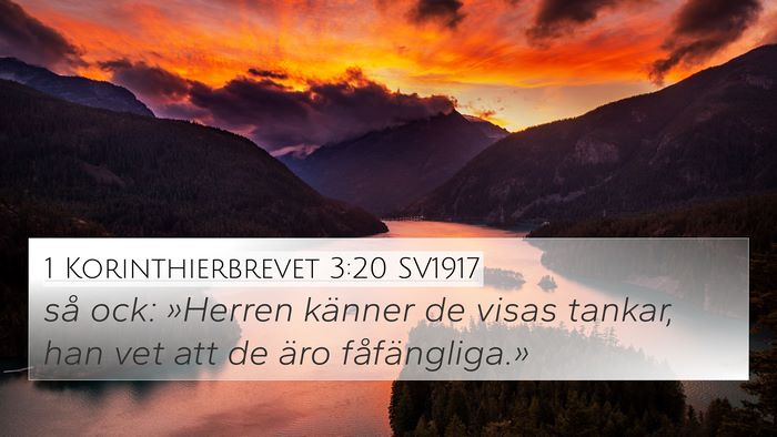 1 Korinthierbrevet 3:20 SV1917 Bible Verse Image