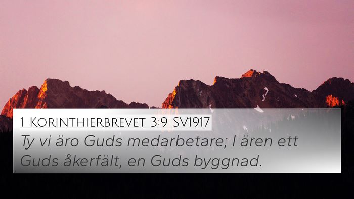 1 Korinthierbrevet 3:9 SV1917 Bible Verse Image