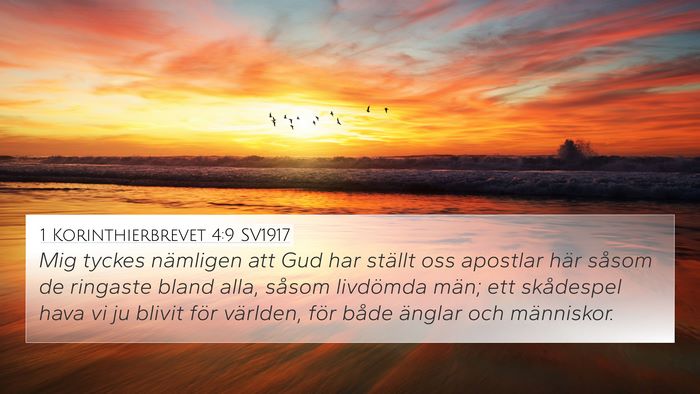 1 Korinthierbrevet 4:9 SV1917 Bible Verse Image