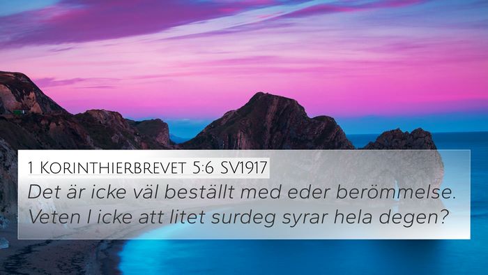 1 Korinthierbrevet 5:6 SV1917 Bible Verse Image