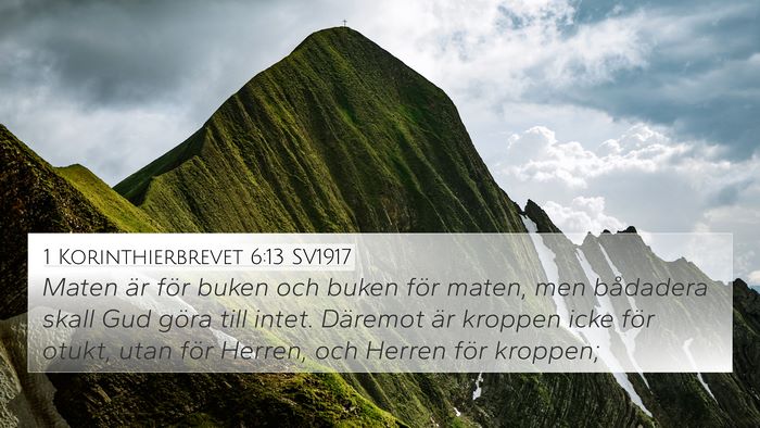 1 Korinthierbrevet 6:13 SV1917 Bible Verse Image