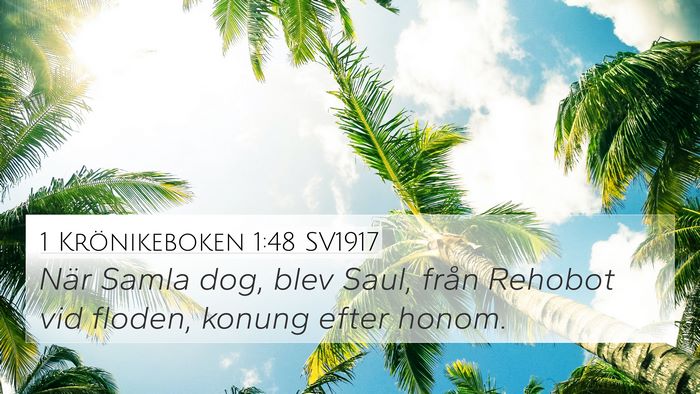 1 Krönikeboken 1:48 SV1917 Bible Verse Image