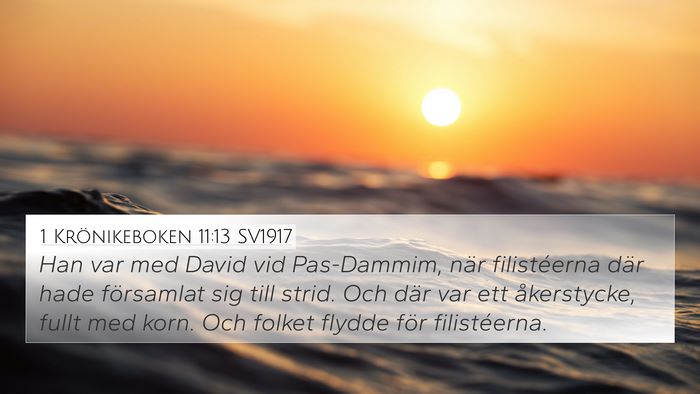 1 Krönikeboken 11:13 SV1917 Bible Verse Image