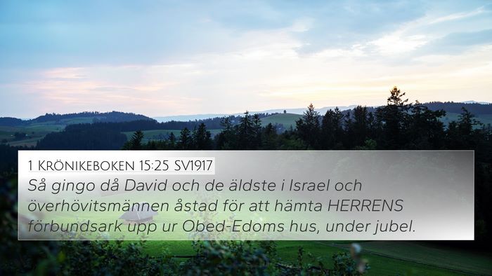 1 Krönikeboken 15:25 SV1917 Bible Verse Image