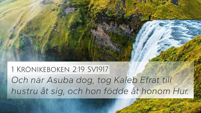 1 Krönikeboken 2:19 SV1917 Bible Verse Image