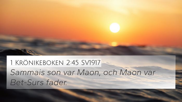 1 Krönikeboken 2:45 SV1917 Bible Verse Image