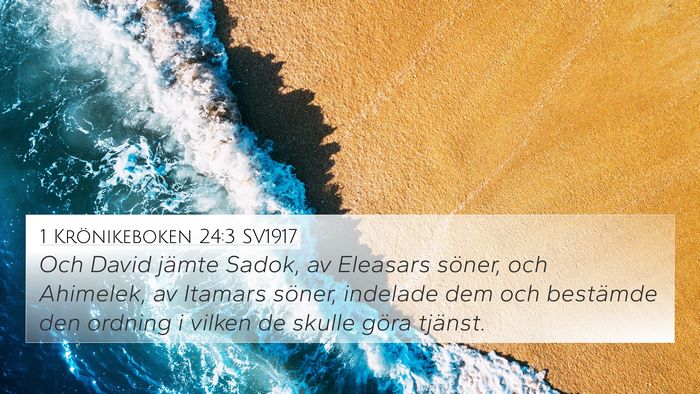 1 Krönikeboken 24:3 SV1917 Bible Verse Image