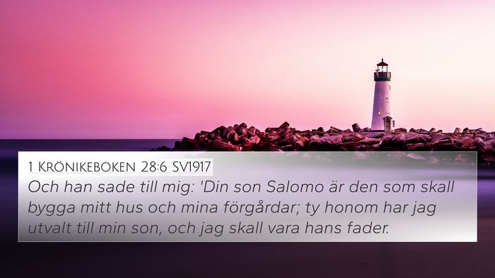 1 Krönikeboken 28:6 SV1917 Bible Verse Image