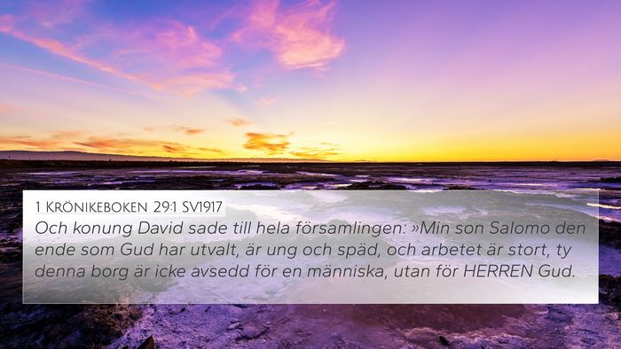 1 Krönikeboken 29:1 SV1917 Bible Verse Image