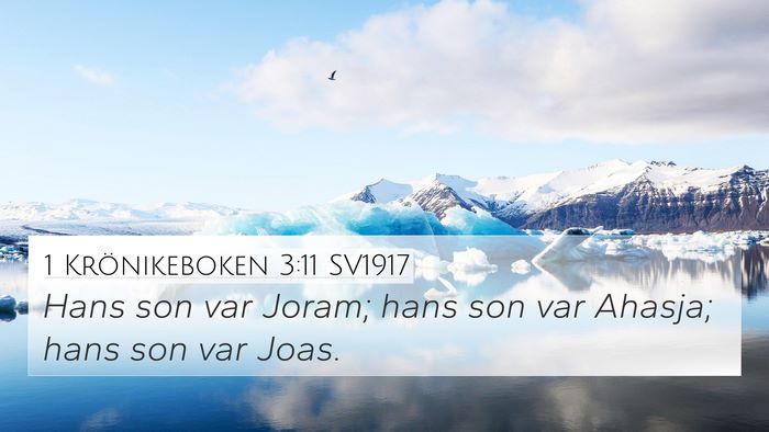 1 Krönikeboken 3:11 SV1917 Bible Verse Image