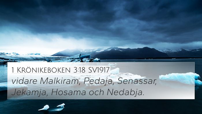 1 Krönikeboken 3:18 SV1917 4K Wallpaper - vidare Malkiram, Pedaja, Senassar, Jekamja, - 4K Wallpaper Bible Verse