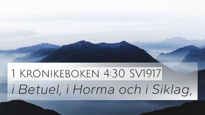 1 Krönikeboken 4:30 SV1917 Bible Verse Image