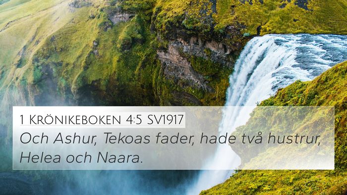 1 Krönikeboken 4:5 SV1917 4K Wallpaper - Och Ashur, Tekoas fader, hade två hustrur, Helea - 4K Wallpaper Bible Verse