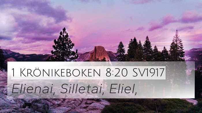 1 Krönikeboken 8:20 SV1917 4K Wallpaper - Elienai, Silletai, - 4K Wallpaper Bible Verse