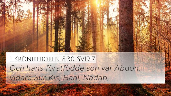 1 Krönikeboken 8:30 SV1917 4K Wallpaper - Och hans förstfödde son var Abdon; vidare Sur, - 4K Wallpaper Bible Verse