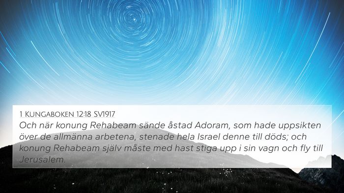1 Kungaboken 12:18 SV1917 Bible Verse Image