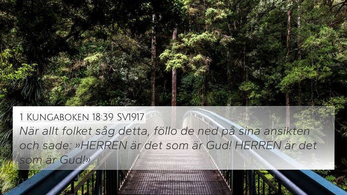 1 Kungaboken 18:39 SV1917 Bible Verse Image