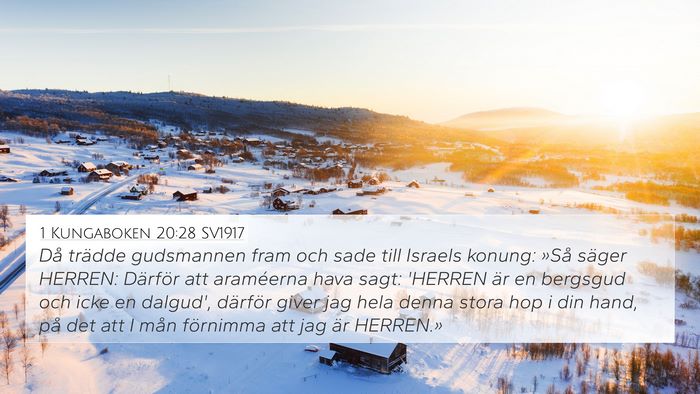 1 Kungaboken 20:28 SV1917 Bible Verse Image