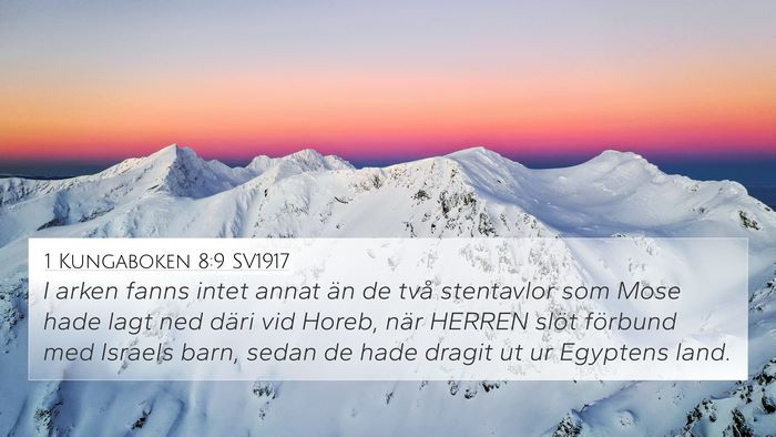 1 Kungaboken 8:9 SV1917 Bible Verse Image