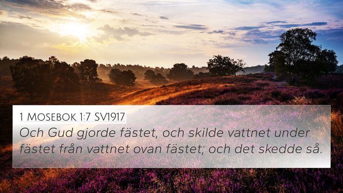 1 Mosebok 1:7 SV1917 Bible Verse Image