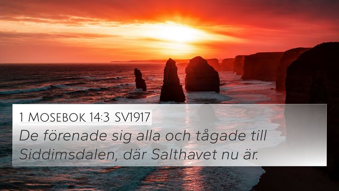 1 Mosebok 14:3 SV1917 Bible Verse Image