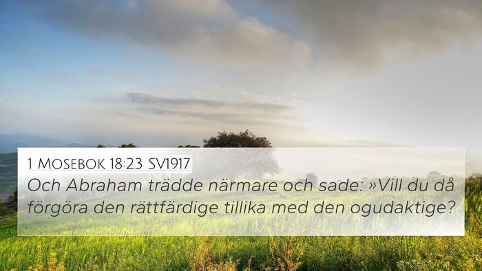 1 Mosebok 18:23 SV1917 Bible Verse Image