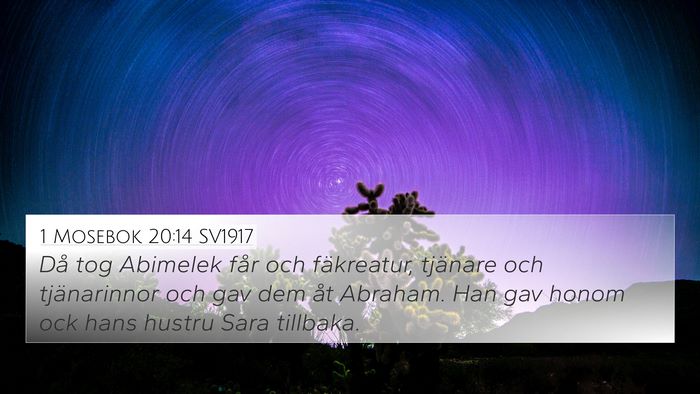 1 Mosebok 20:14 SV1917 Bible Verse Image