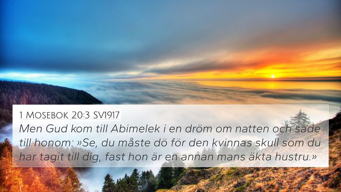 1 Mosebok 20:3 SV1917 Bible Verse Image
