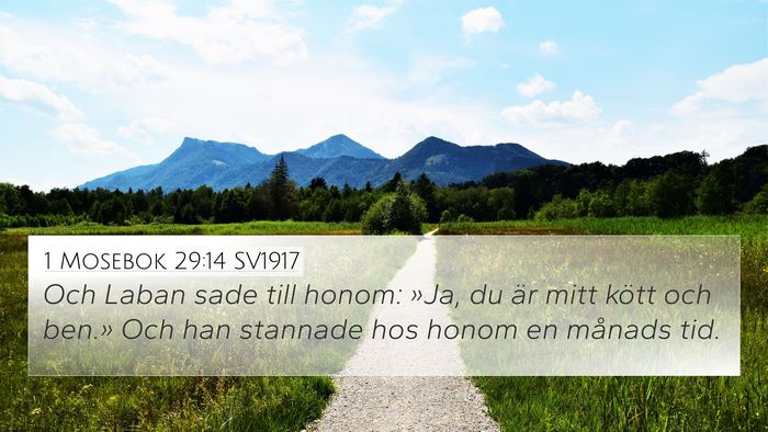 1 Mosebok 29:14 SV1917 Bible Verse Image