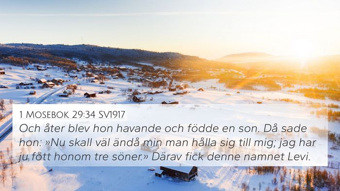 1 Mosebok 29:34 SV1917 Bible Verse Image